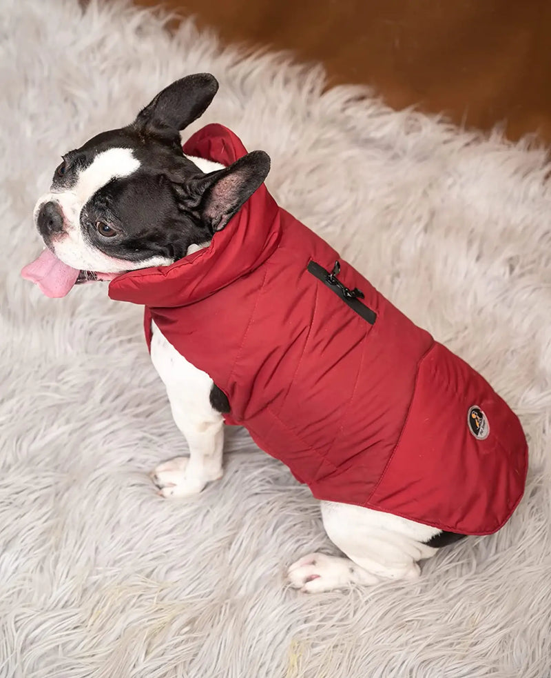 Petsnugs Winter Wear Maroon Jacket for Dogs and Cats (XS)