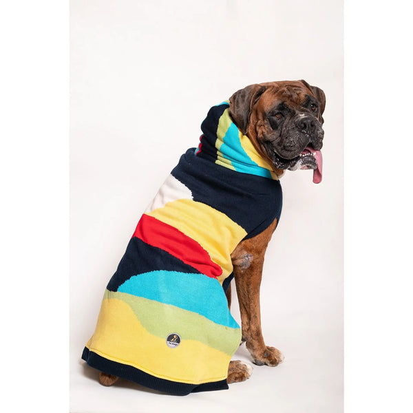 Petsnugs Winter Wear Colourblocked Knit Pullover Sweater for Dogs and Cats (L)