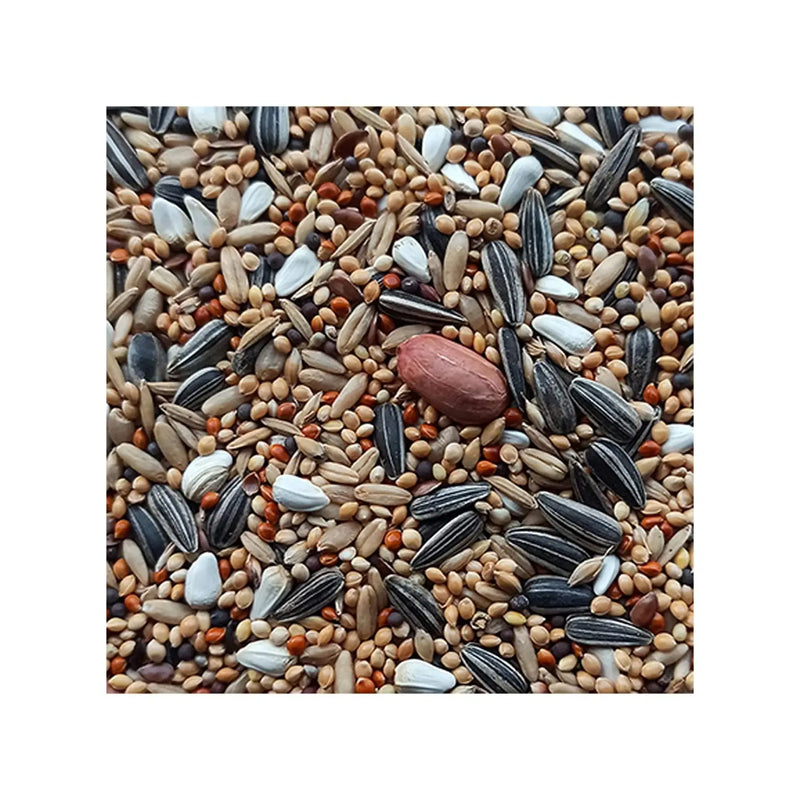 Happy Wings Parakeets Bird Food Mix Seed 900 Gram