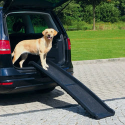 Trixie Petwalk Folding Ramp for Dogs