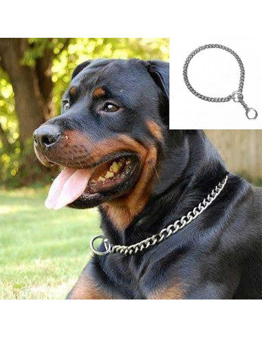 Pawzone Choke Chain For Dogs