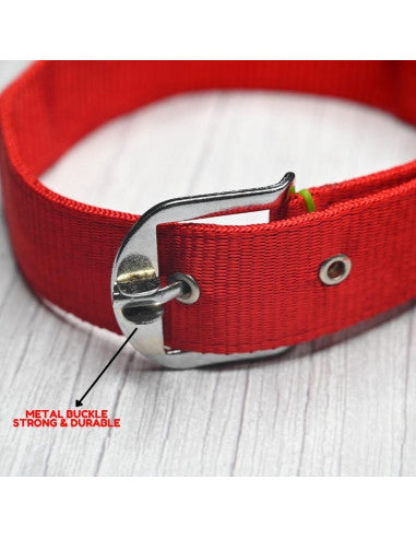 Pawzone Nylon Red Collar with Leash set