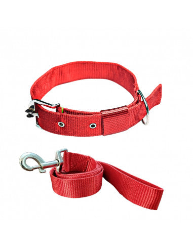 Pawzone Nylon Red Collar with Leash set